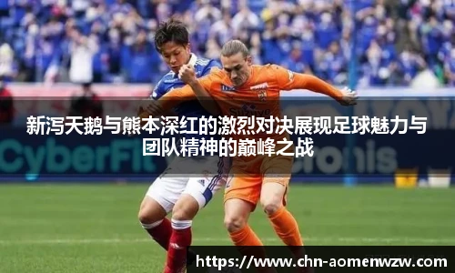 王中王资料大全