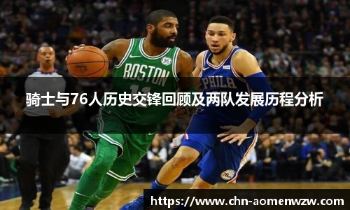 王中王资料
